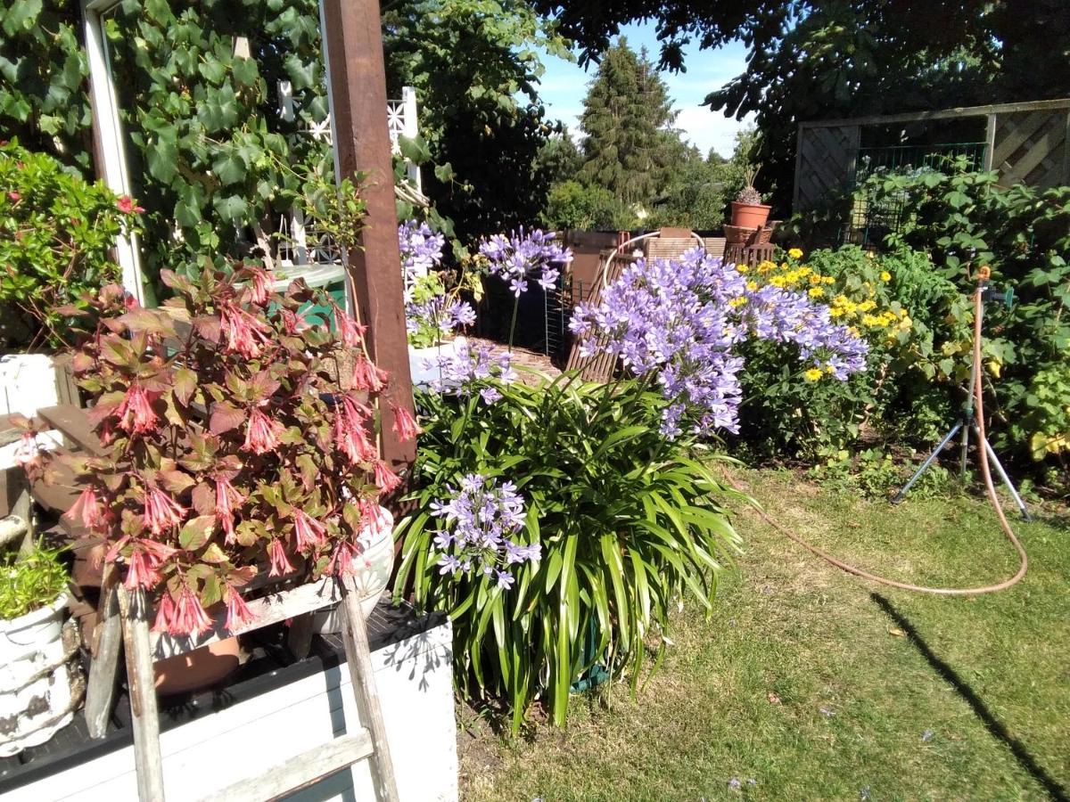 Gartenhaus Appartamento