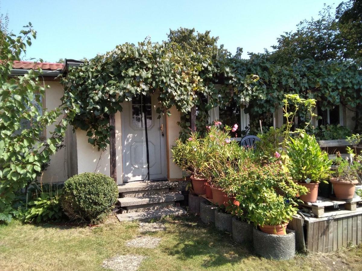 Appartamento Gartenhaus